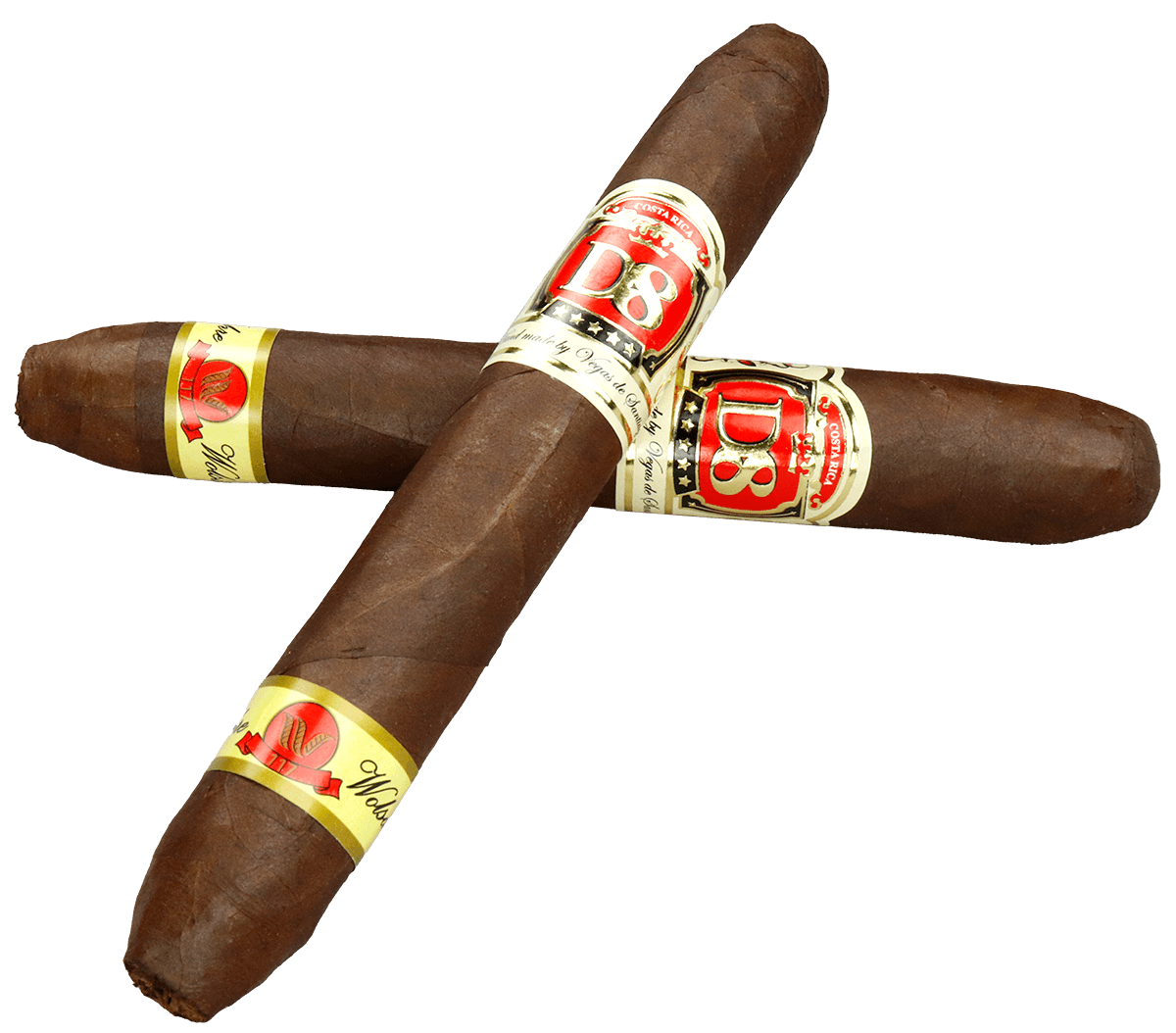 Vegas de Santiago WOLSDORFF - zwei Zigarren