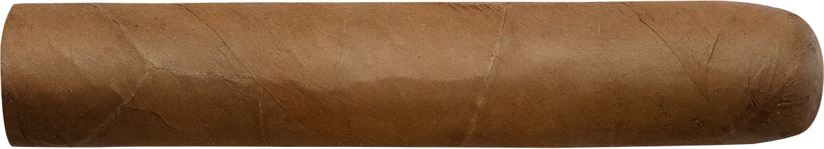 Wolsdorff Selection Robusto Einzelzigarre