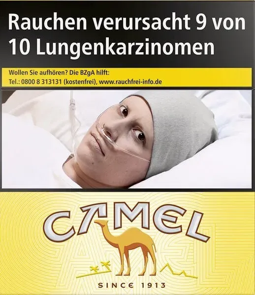 Camel Yellow BP XXL Packung von vorne