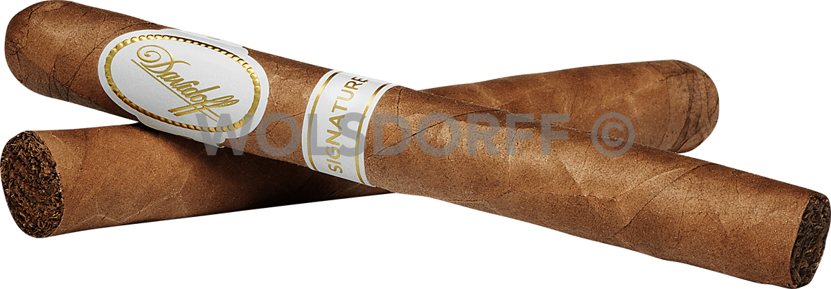 Davidoff Signature 1000 - zwei Zigarren