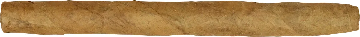 Noblesse Senorita Sumatra Einzelzigarre