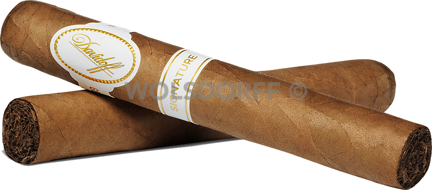 Davidoff Signature Petit Corona - zwei Zigarren