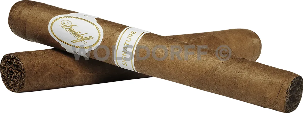 Davidoff Signature 2000 - 2 Zigarren