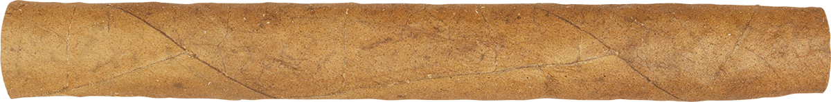 Die WOLSDORFF Petit Cordial Sumatra - Zigarre waagerecht