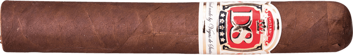 Vegas de Santiago D8 Robusto - Zigarre waagerecht