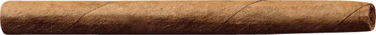 Villiger Premium No10 Einzelzigarre
