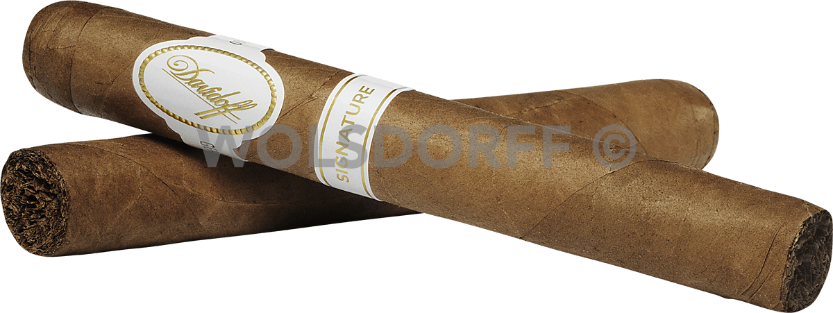 Davidoff Signature 2000 - zwei Zigarren