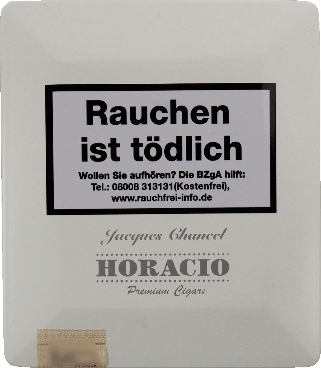 Horacio Jacques Chancel - Kiste Deckel Außenseite