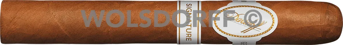 Davidoff Signature 2000 Tubos - Zigarre waagerecht