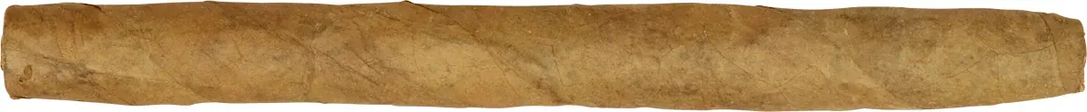 Noblesse Senorita Sumatra Einzelzigarre