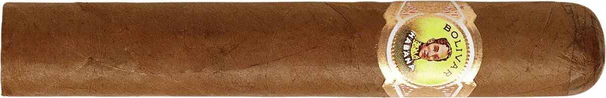 Bolivar Royal Coronas  Zigarre, vertikal