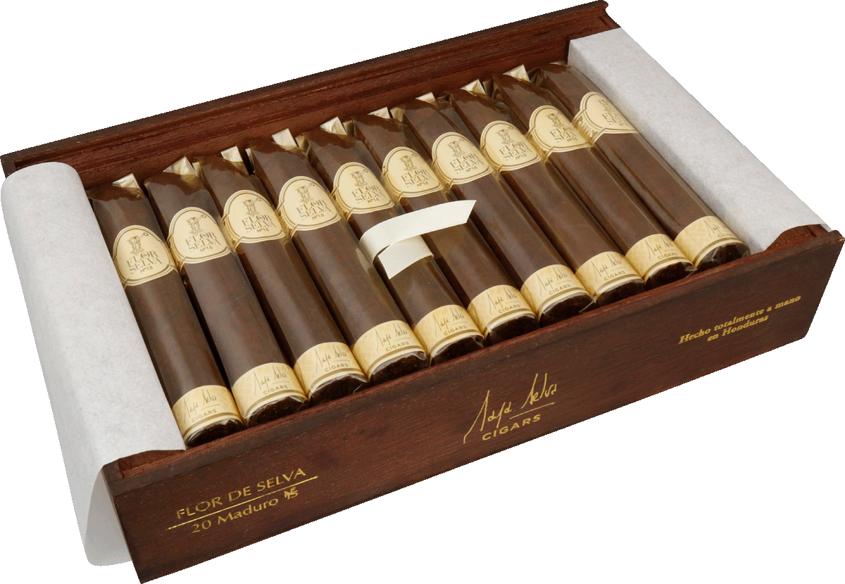 Flor de Selva Maduro No. 15 - Kiste seitlich geöffnet