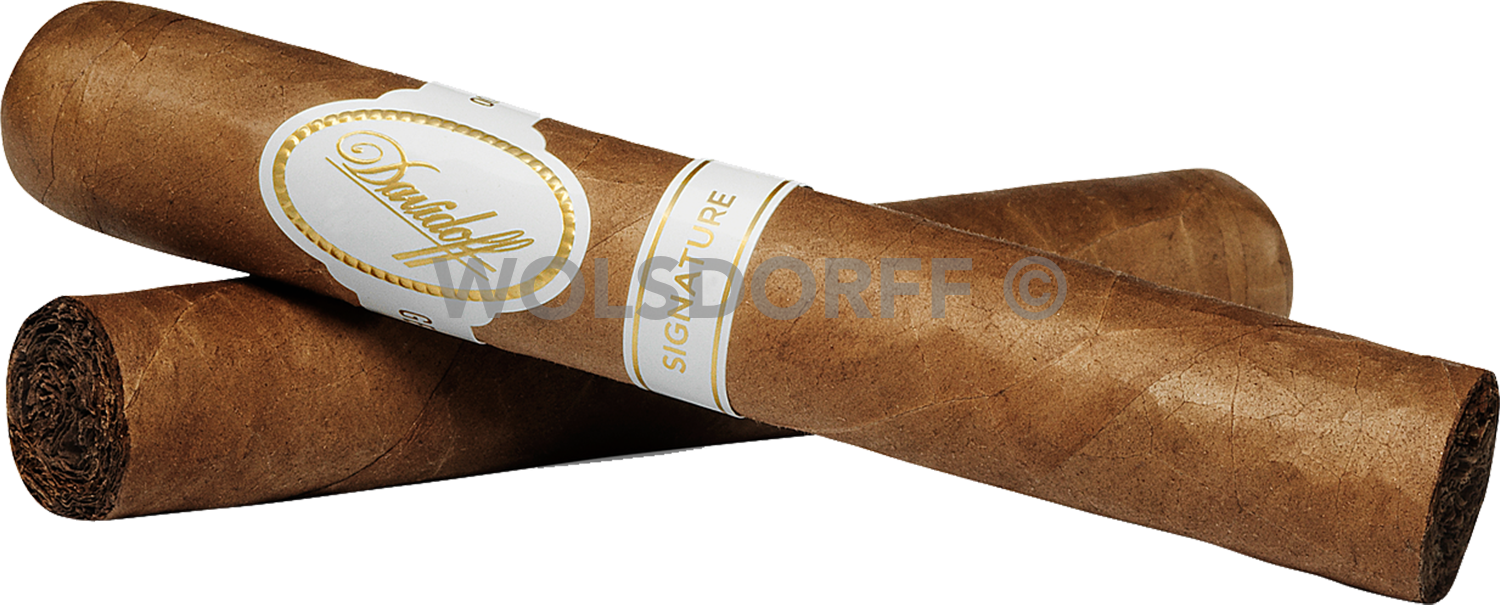 Davidoff Signature 6000 - zwei Zigarren