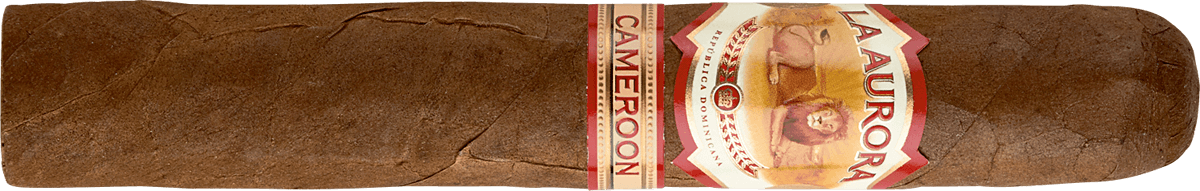 La Aurora 1903 Cameroon - Zigarre waagerecht
