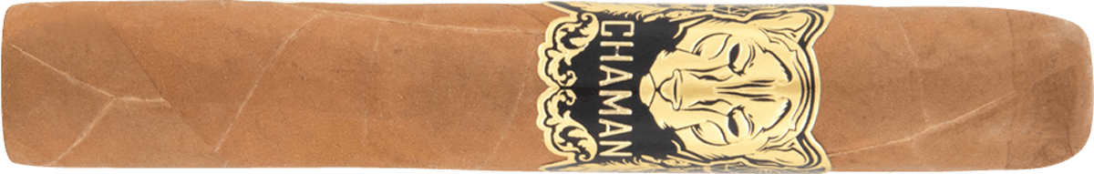 Vegas de Santiago Chaman Robusto - Zigarre waagerecht