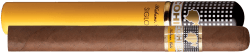 Cohiba Linea 1492 Siglo III Tubos Cohiba Linea 1492 Siglo III Tubos