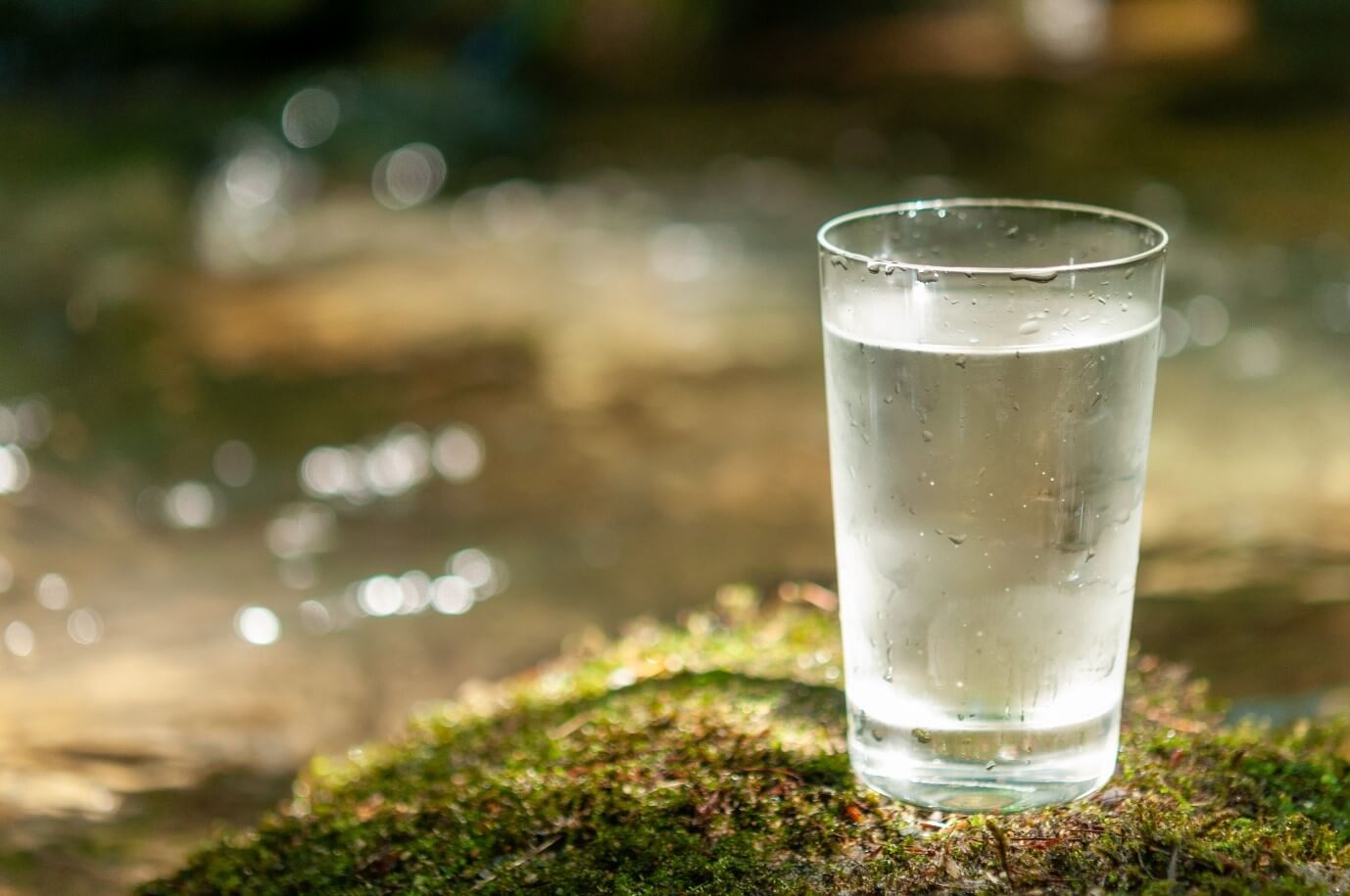 Gin Herstellen - Einfluss des Wassers