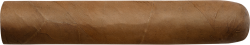 WOLSDORFF Selection Nr. 10 Robusto Bundles