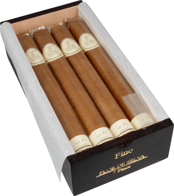 Flor de Selva Fino (Grand Corona)