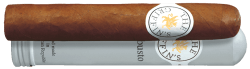 The Griffin's Classic Robusto Tubos