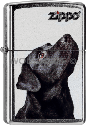 Zippo 60000206 #207 Black Labrador