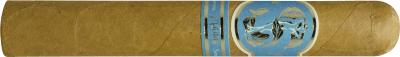 Matilde Serena Robusto