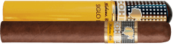 Cohiba Linea 1492 Siglo II Tubos
