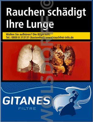 Gitanes Filtre (10 x 20)