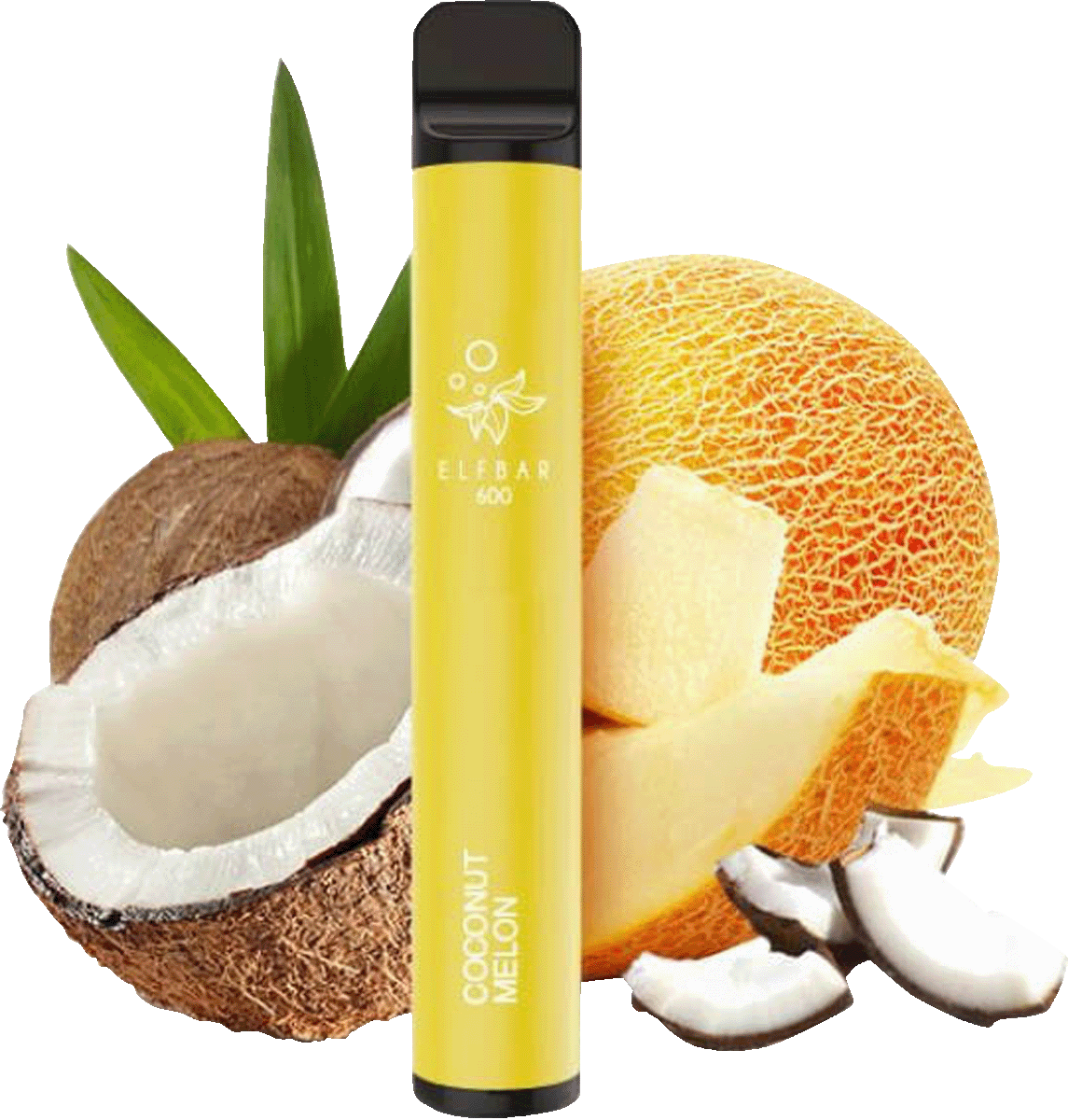Elf Bar 600 Coconut Melon ohne Nikotin EShisha für 9,95