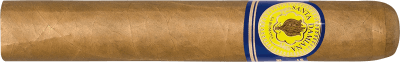 Santa Damiana Classic Robusto