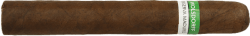 WOLSDORFF Reserva Nicaragua Maduro Bundle Toro 6x54