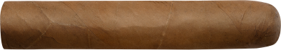 WOLSDORFF Selection Nr. 10 Robusto Bundles